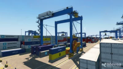 Mevea Rail Mounted Gantry.