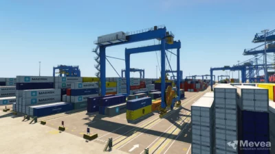 Mevea Rail Mounted Gantry.